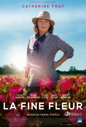 Capa para download torrent de Filme Entre Rosas