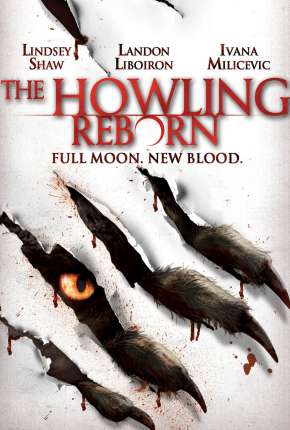 Capa para download torrent de Filme Gritos de Horror - O Renascimento