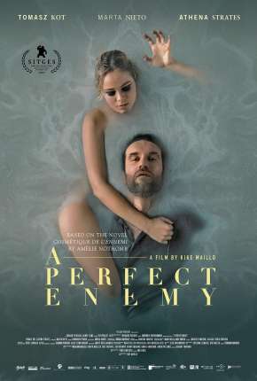 Capa para download torrent de Filme Inimiga Perfeita