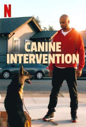 Capa para download torrent de Série Intervenção Canina - 1ª Temporada Completa