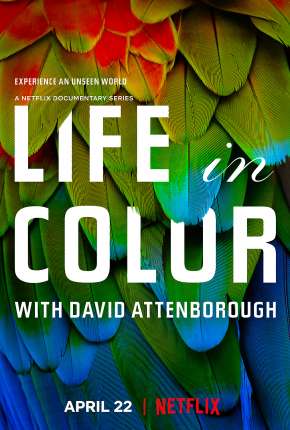 Capa para download torrent de Série Life In Colour - 1ª Temporada Completa