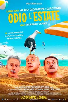 Capa para download torrent de Filme Loucuras de Verão - Odio lestate