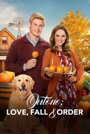 Capa para download torrent de Filme Love, Fall e Order