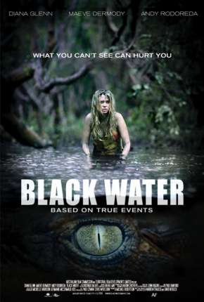 Capa para download torrent de Filme Medo Profundo - Black Water