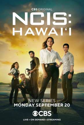 Capa para download torrent de Série NCIS - Hawaii - 1ª Temporada Legendada
