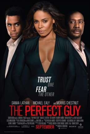 Capa para download torrent de Filme O Cara Perfeito - The Perfect Guy