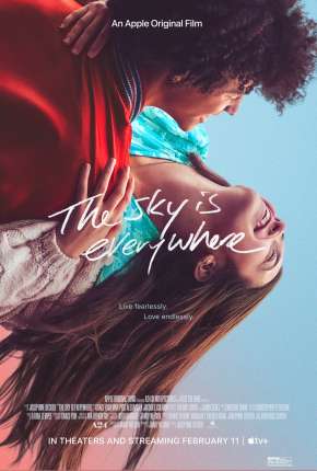 Capa para download torrent de Filme O Céu Está em Todo Lugar