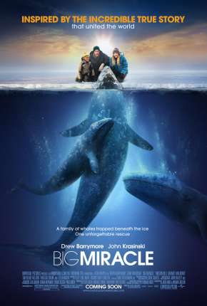 Capa para download torrent de Filme O Grande Milagre - Big Miracle