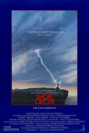 Capa para download torrent de Filme O Incrível Robô