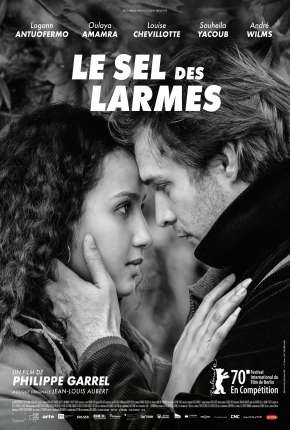 Capa para download torrent de Filme O Sal das Lágrimas - Legendado