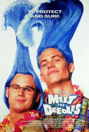 Capa para download torrent de Filme Os Irmãos Id e Ota - Meet the Deedles