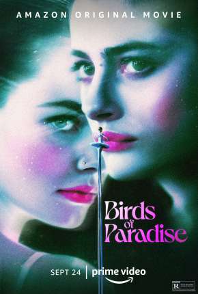 Capa para download torrent de Filme Pássaros de Liberdade