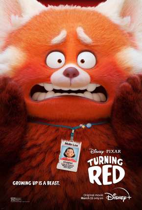 Capa para download torrent de Filme Red - Crescer é uma Fera
