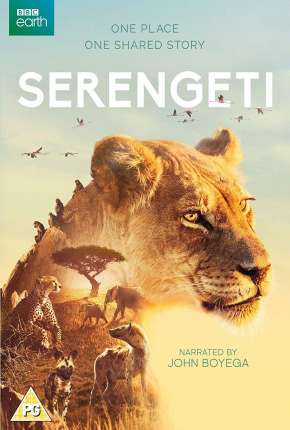 Capa para download torrent de Série Serengeti - 2ª Temporada Completa Legendada