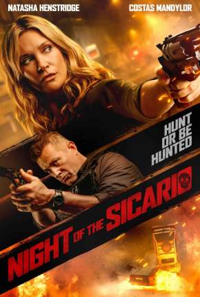 Capa para download torrent de Filme Sicario - Perigo no Abrigo