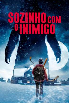 Capa para download torrent de Filme Sozinho com o Inimigo