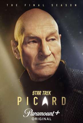 Capa para download torrent de Série Star Trek - Picard - 2ª Temporada
