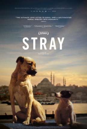 Capa para download torrent de Filme Stray - 2021 Legendado
