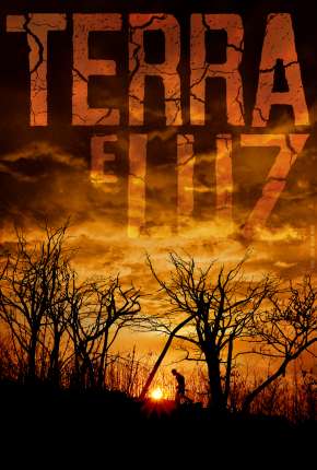 Capa para download torrent de Filme Terra e Luz