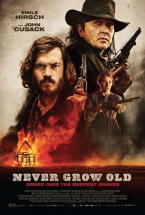 Capa para download torrent de Filme Terra Sem Lei