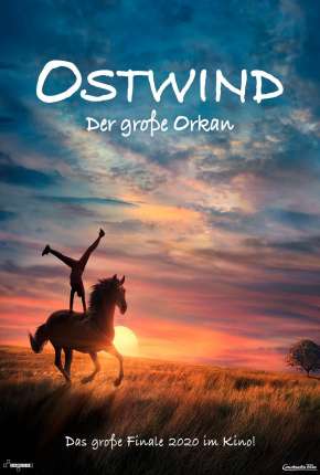 Capa para download torrent de Filme Windstorm - The Great Hurricane - Legendado