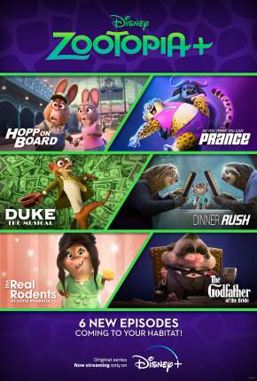 Capa para download torrent de Desenho Zootopia+ - 1ª Temporada