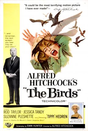 Capa para download torrent de Filme Os Pássaros / The Birds