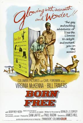 Capa para download torrent de Filme A História de Elsa