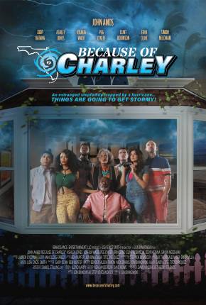 Capa para download torrent de Filme Because of Charley - Legendado
