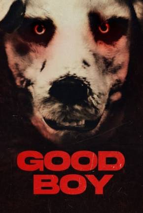 Capa para download torrent de Filme Bom Garoto