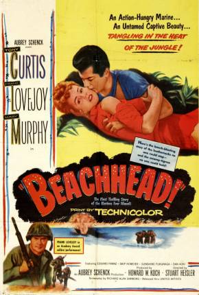 Capa para download torrent de Filme Cabeça de Praia