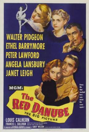 Capa para download torrent de Filme Danúbio Vermelho