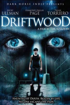 Capa para download torrent de Filme Driftwood - O Reformatório