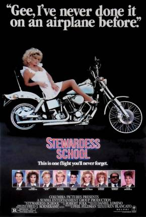 Capa para download torrent de Filme Escola de Aeromoças
