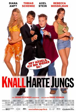 Capa para download torrent de Filme Knallharte Jungs - More Ants in the Pants Legendado