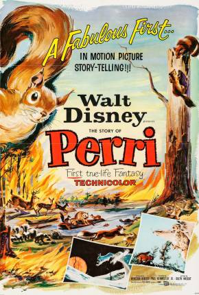 Capa para download torrent de Filme No Coração da Floresta