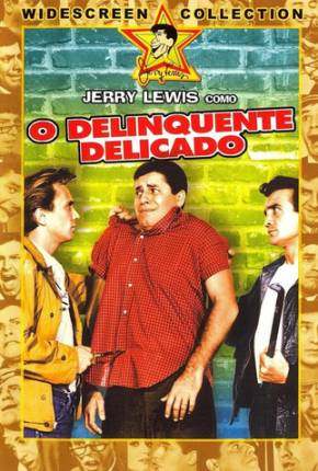 Capa para download torrent de Filme O Delinquente Delicado