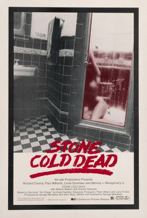 Capa para download torrent de Filme O Exterminador do Pecado