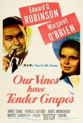 Capa para download torrent de Filme O Roseiral da Vida / Our Vines Have Tender Grapes