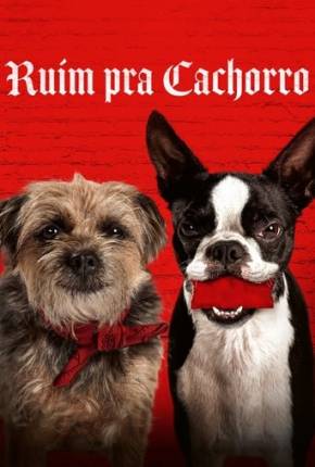 Capa para download torrent de Filme Ruim Pra Cachorro