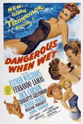 Capa para download torrent de Filme Salve a Campeã / Dangerous When Wet