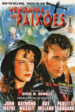 Capa para download torrent de Filme Vendaval de Paixões