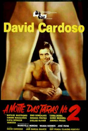 Capa para download torrent de Filme A Noite das Taras 2