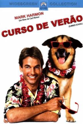 Capa para download torrent de Filme Curso de Verão / Summer School