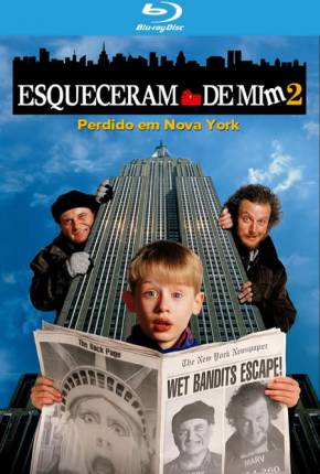Capa para download torrent de Filme Esqueceram de Mim 2 - Perdido em Nova York BluRay