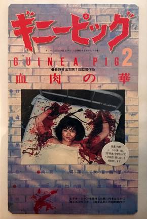 Capa para download torrent de Filme Guinea Pig 2: Flowers of Flesh e Blood  - Legendado